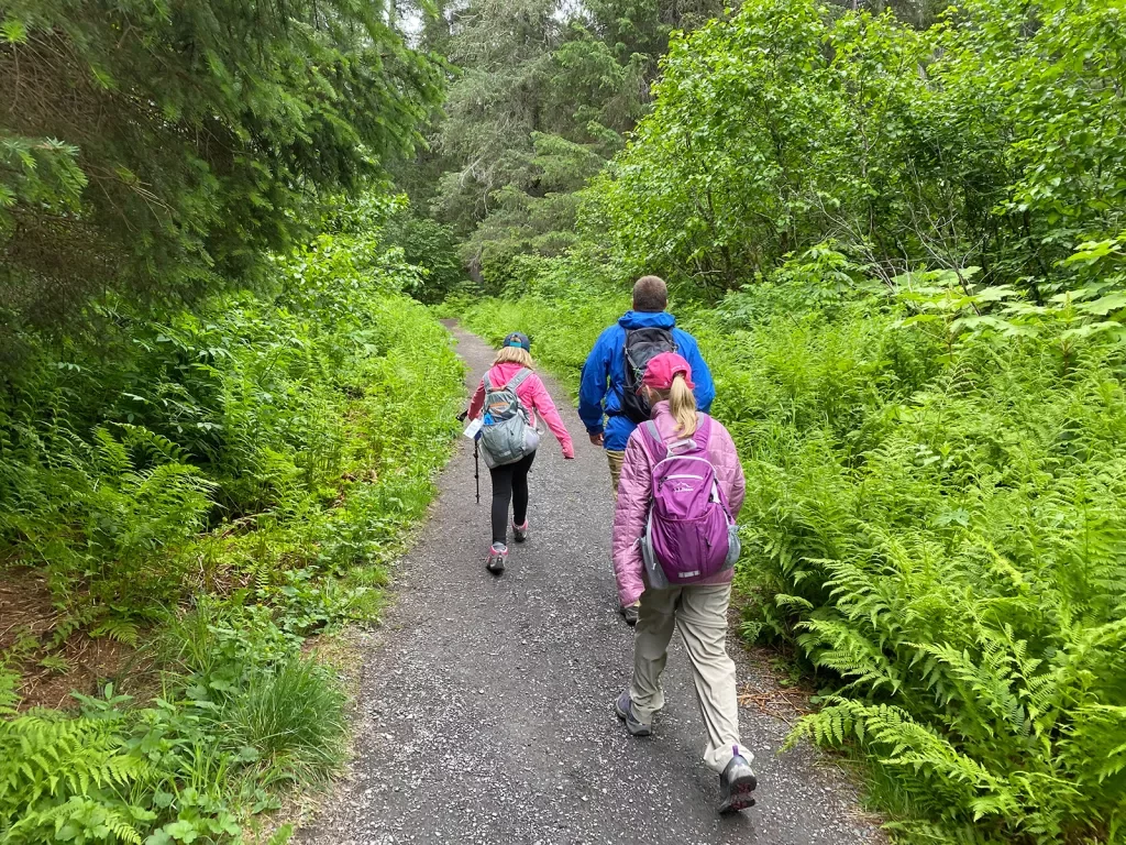 Three guests hiking down forested trail.