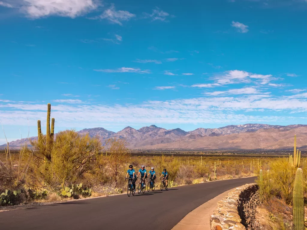 Landscape shot of bikers on road in Arizona
