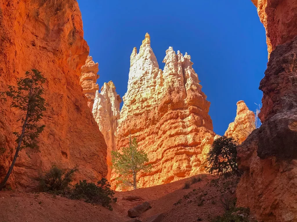 Red rocks and hoodoos in Bryce and Zion National Parks