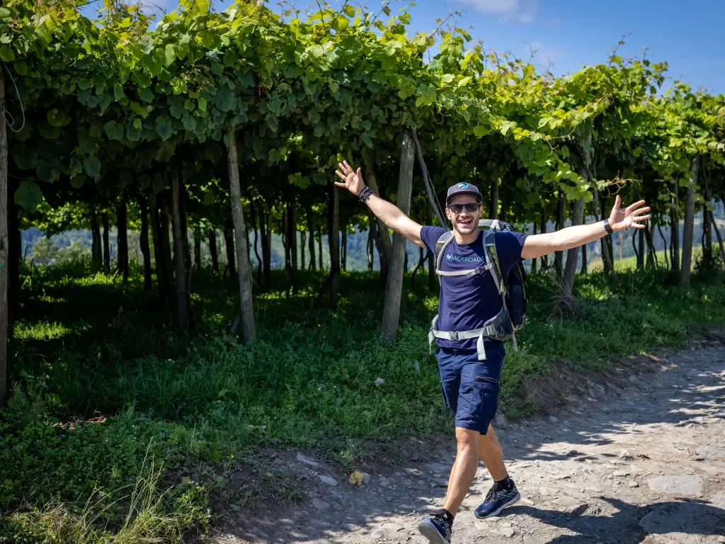 Leader walking past tall grapevines, arms outstretched. 