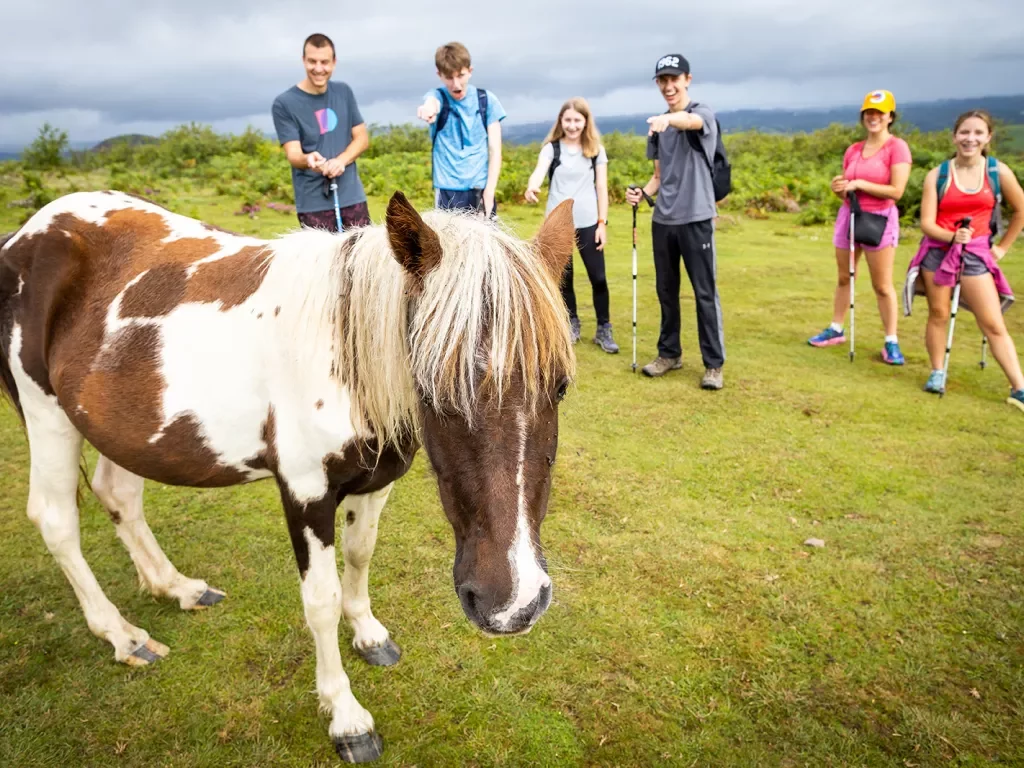 Group of young guests pointing to small horse in front of them.