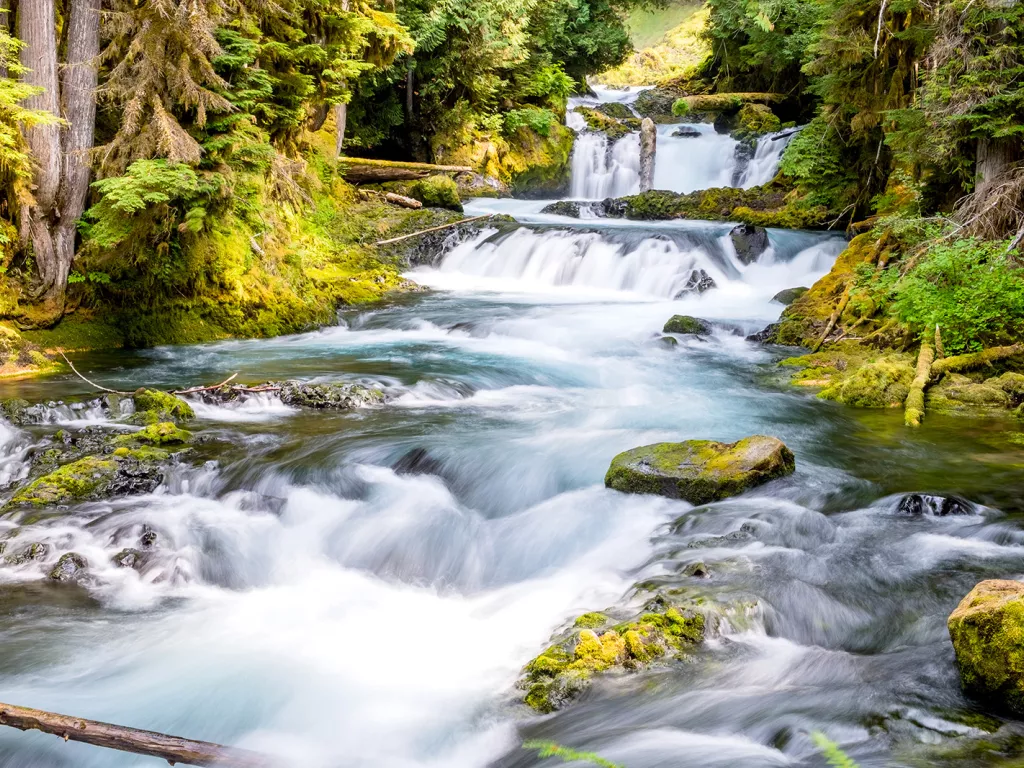 Shot of flowing river among mossy forest.