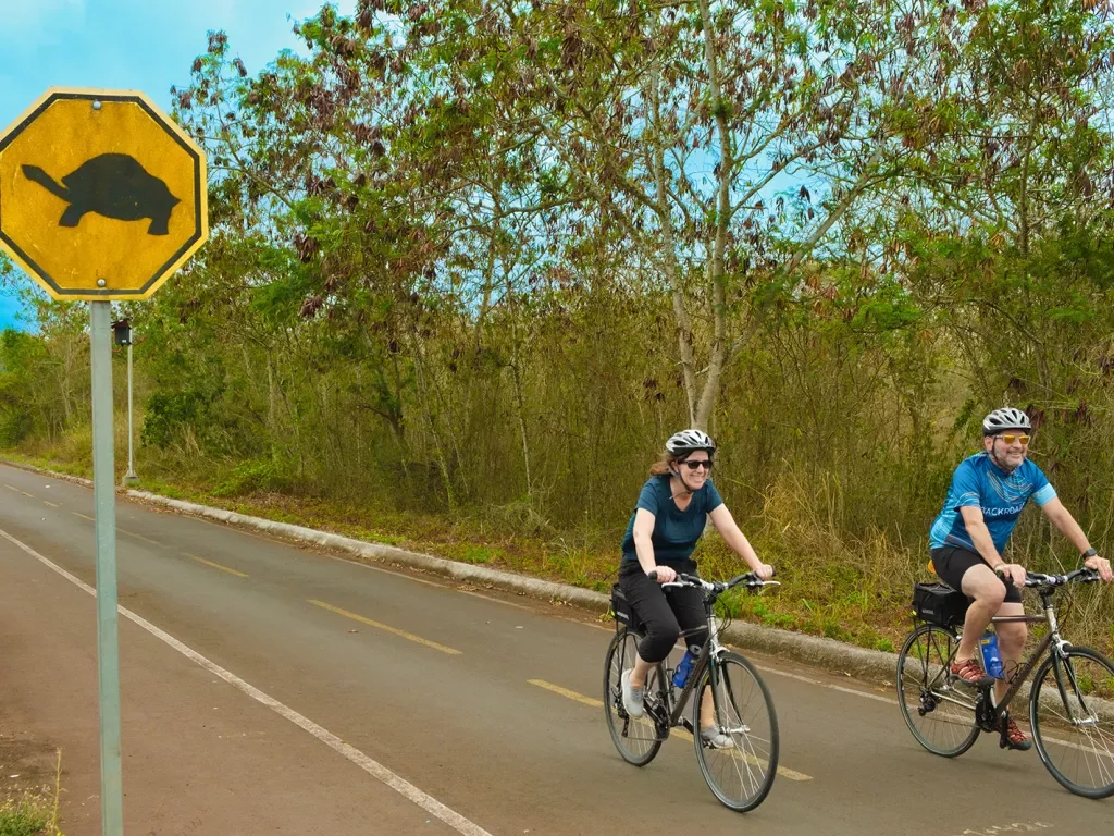 Turtle Crossing Sign Cyclist Pass Ecuador