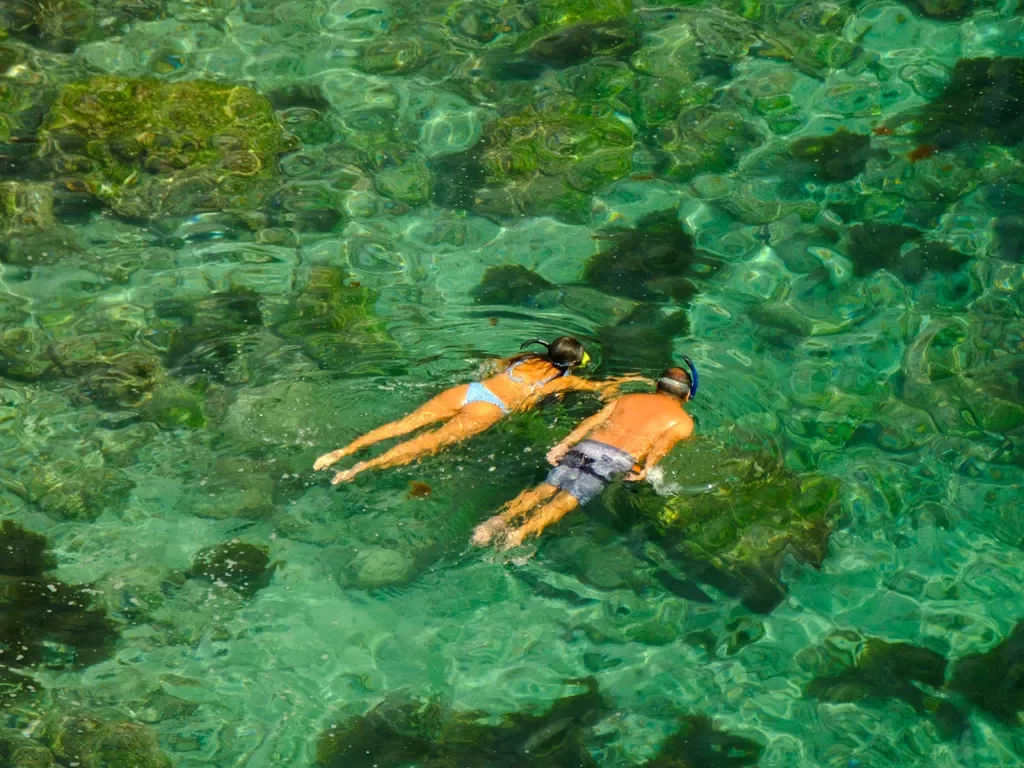 Two people snorkeling 