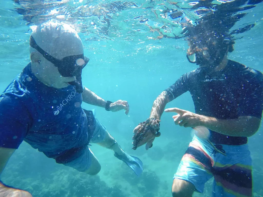 Snorkeling in Hawaii