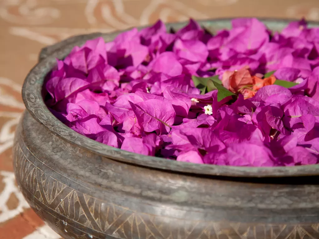 Bowl of bright purple flowers in India
