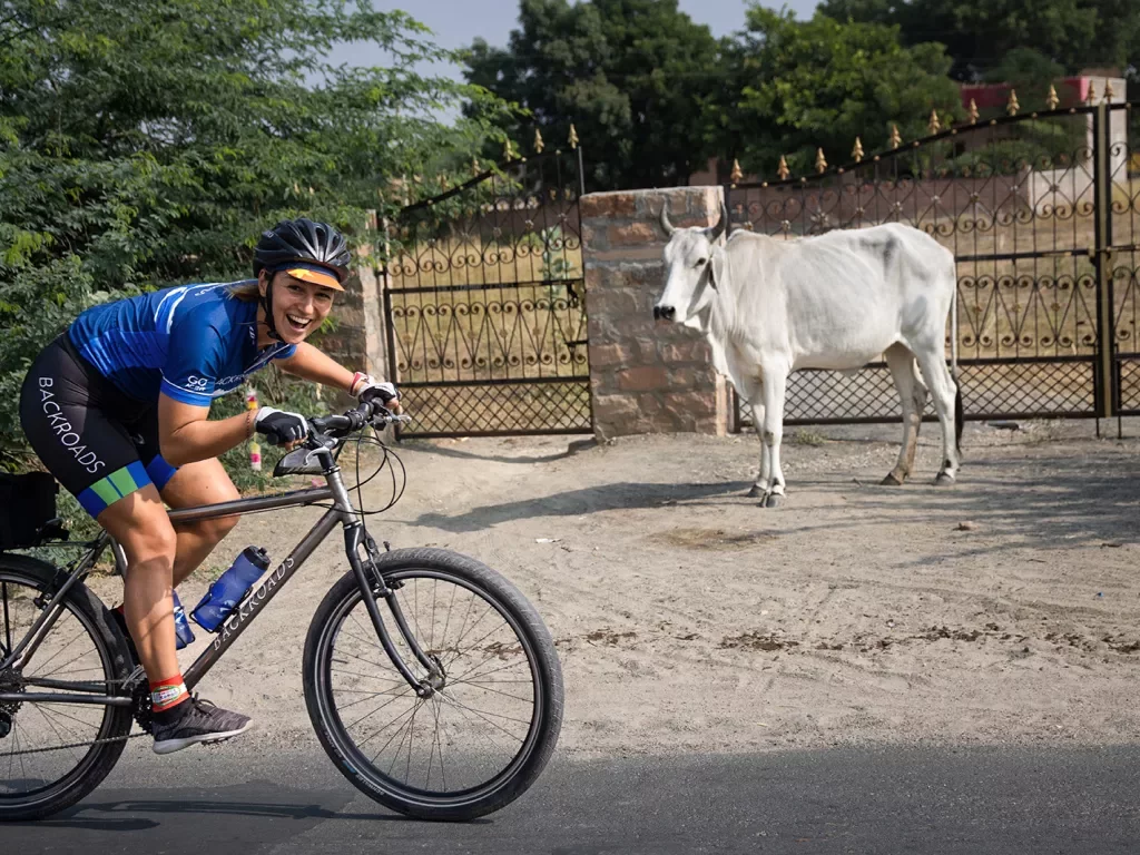 Biking past a white cow in India
