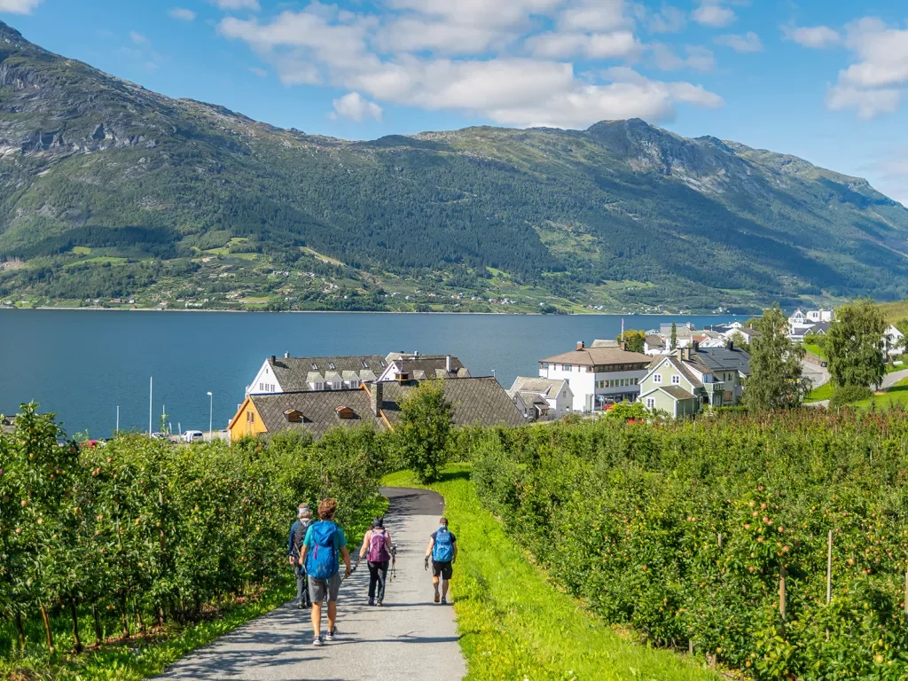 Walking Path Fjord Norway