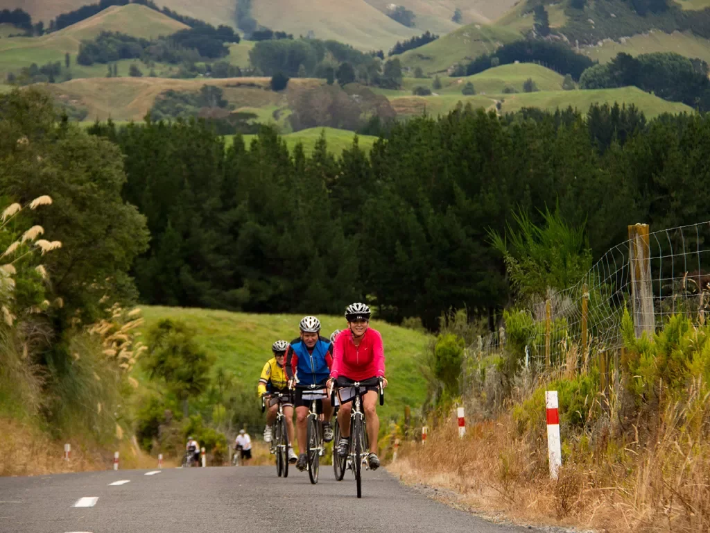 Biking along a road among grassy fields in New Zealand