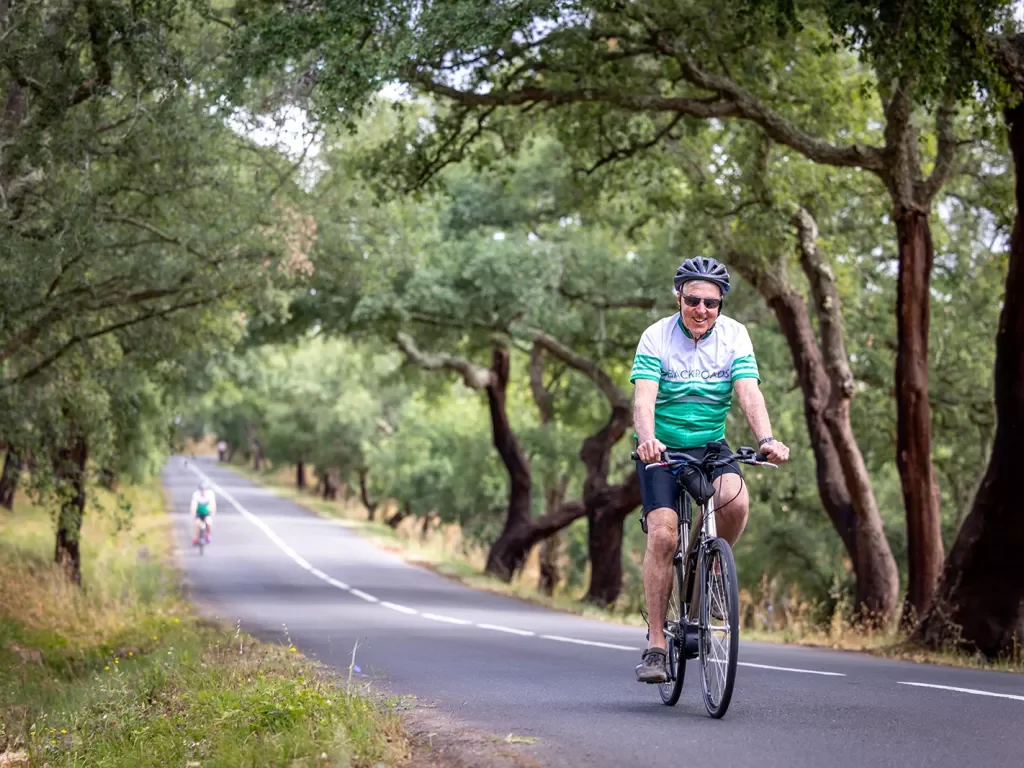 Biker riding along a tree lined road