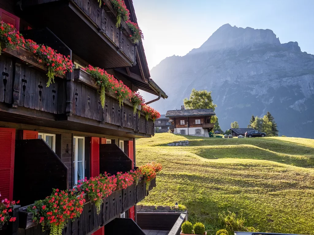 Shot of hotel balconies, large mountain, grassy hillside, red flowers.