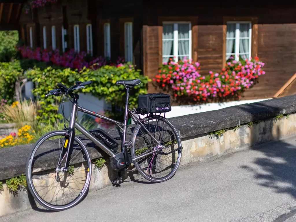 Shot of ebike in front of dark wood house.