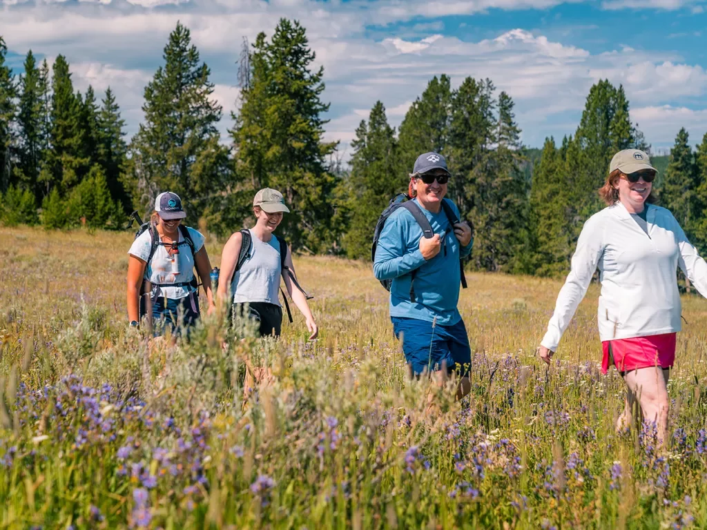 Backroads guests hiking through fields of lavender