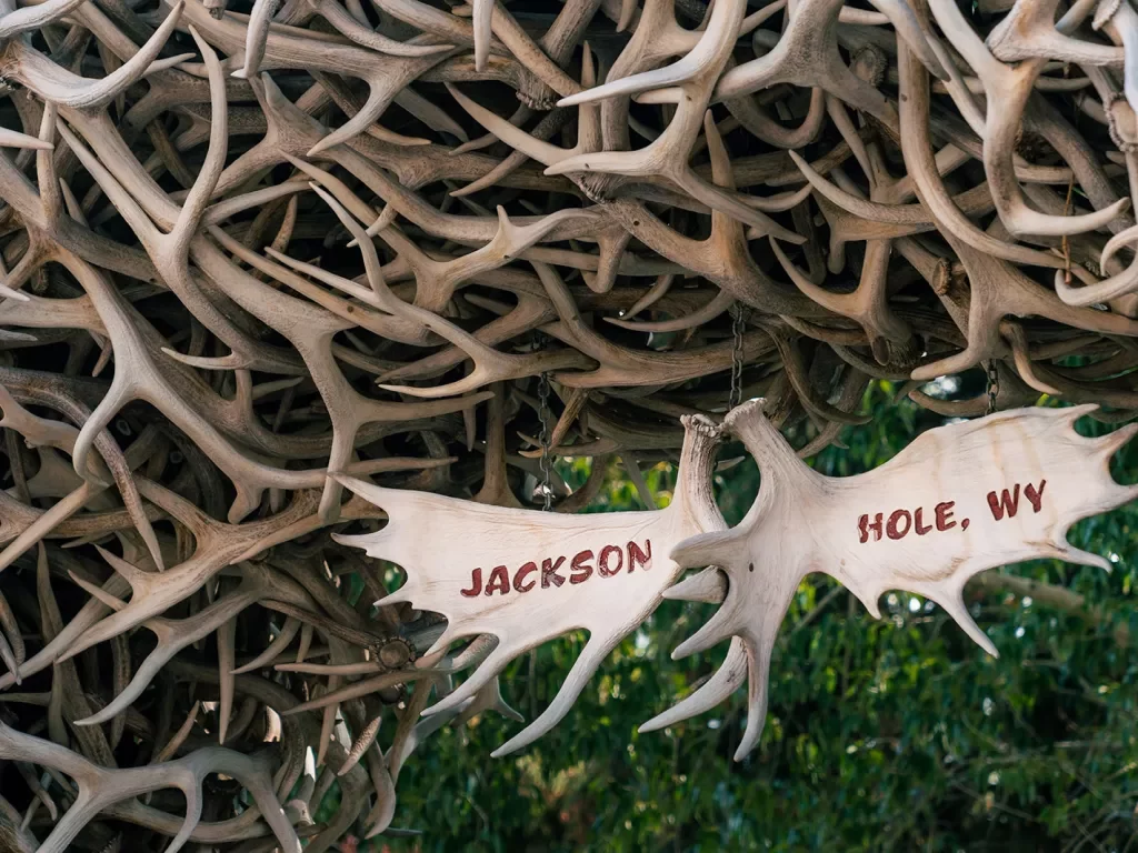 Antler Sign displaying Jackson Hole Wyoming 