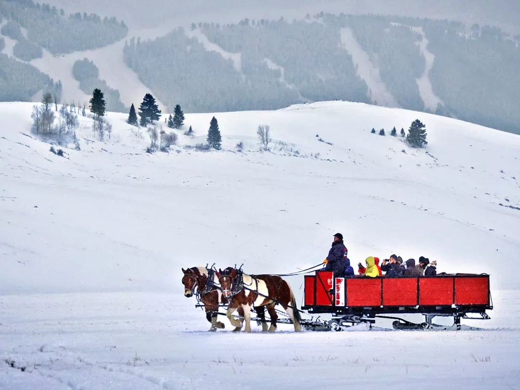 Backroads guests being transported across snowy landscape by horses