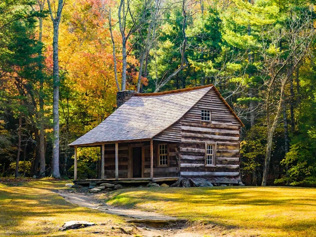 Shot of log house surrounded by forest.
