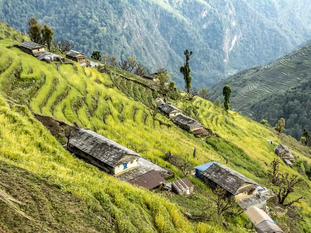 Terraced hillside in Nepal