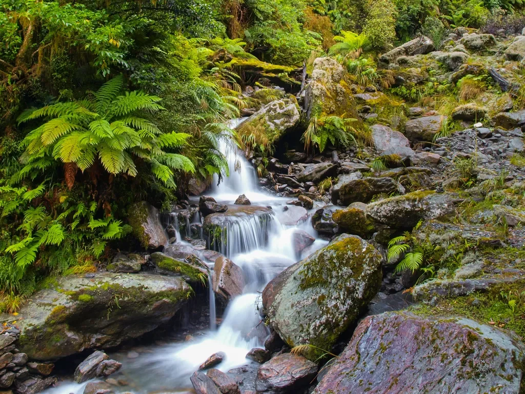 Waterfall in lush Rainforest on the West Coast of New Zealand.