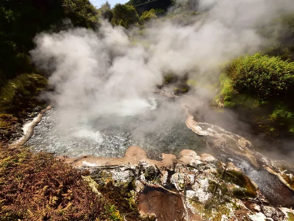 Steaming geothermal activity in Te Manaroa, New Zealand