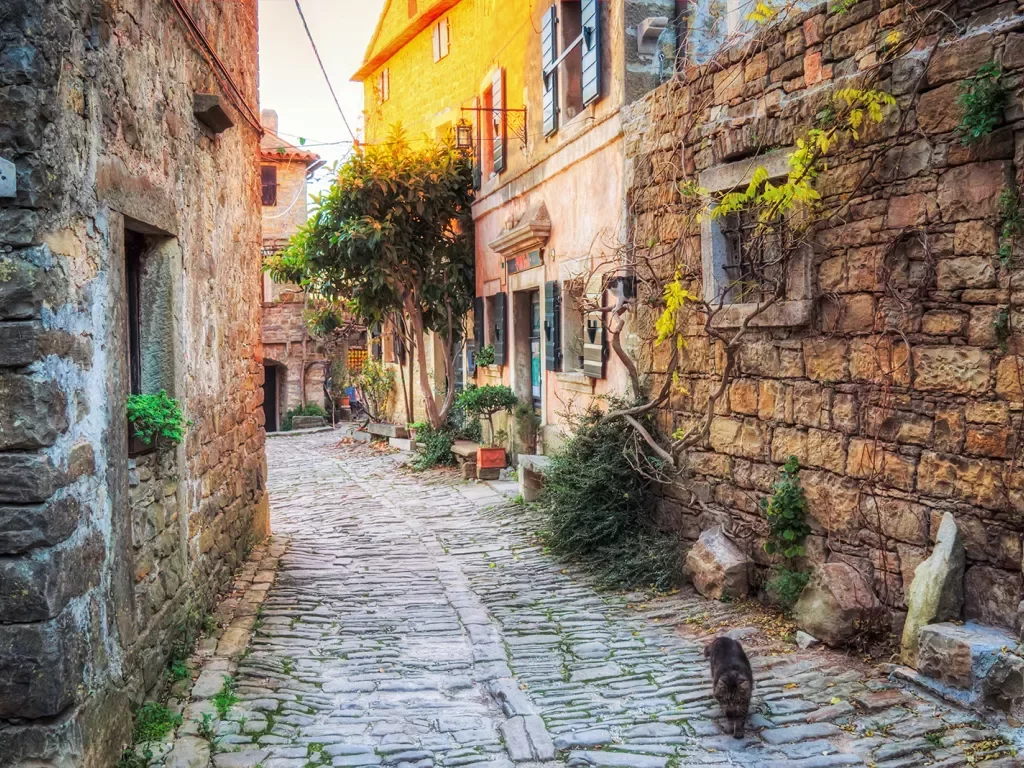 Cat running down European cobblestone alleyway.