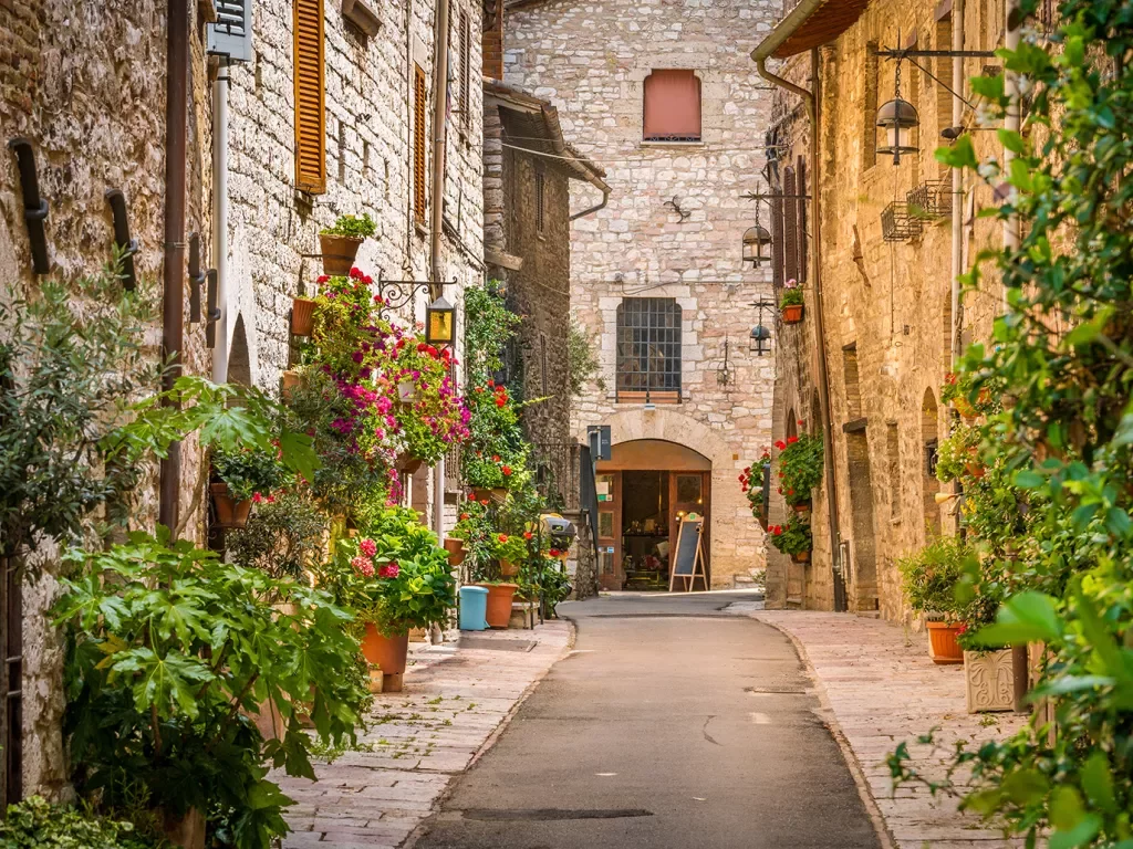 Small Italian road, storefronts and vining plants on either side.