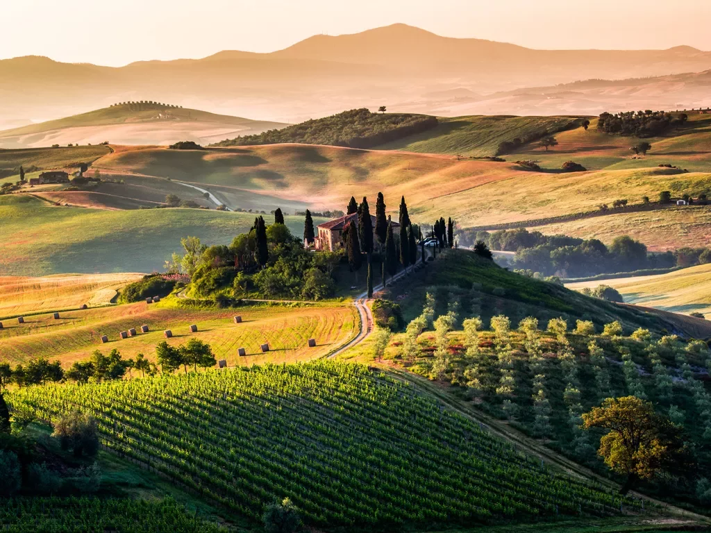 Wide shot of Italian wine country during sunset, villa dead center.