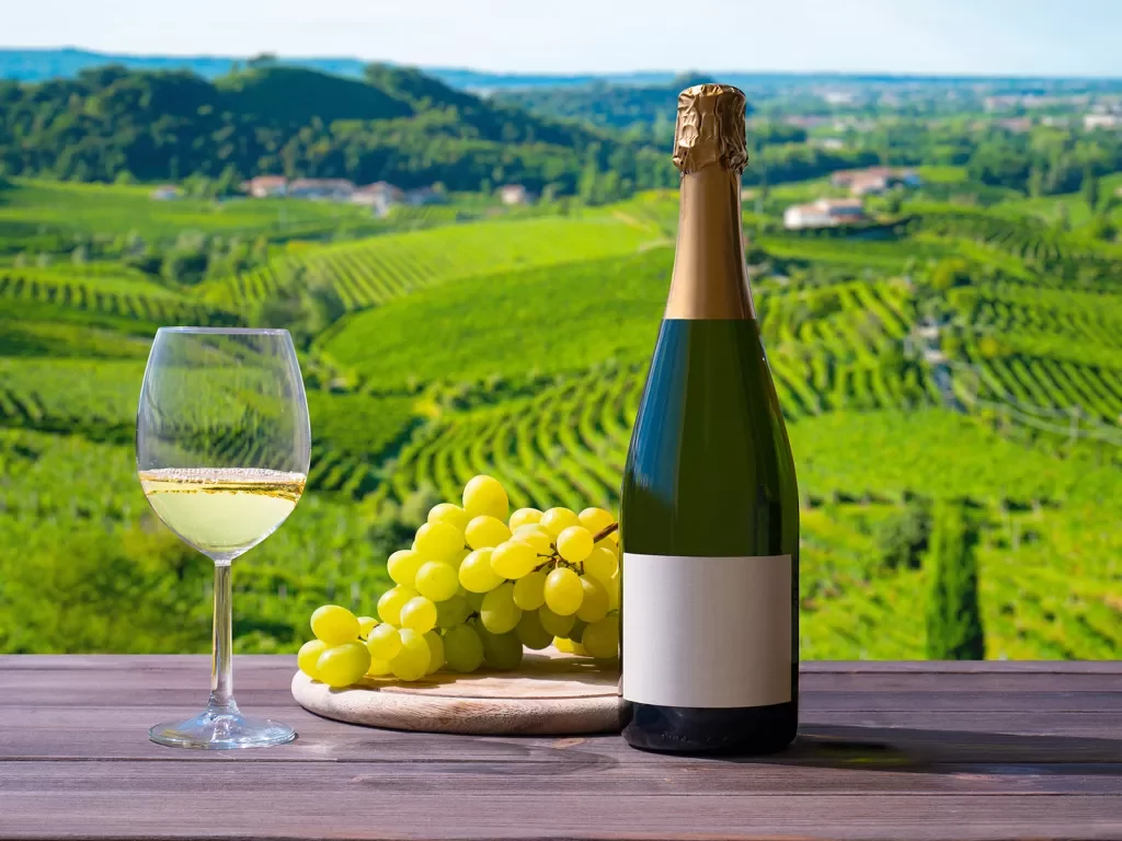 Shot of blank white wine bottle, grapes, wine glass, hills in distance.