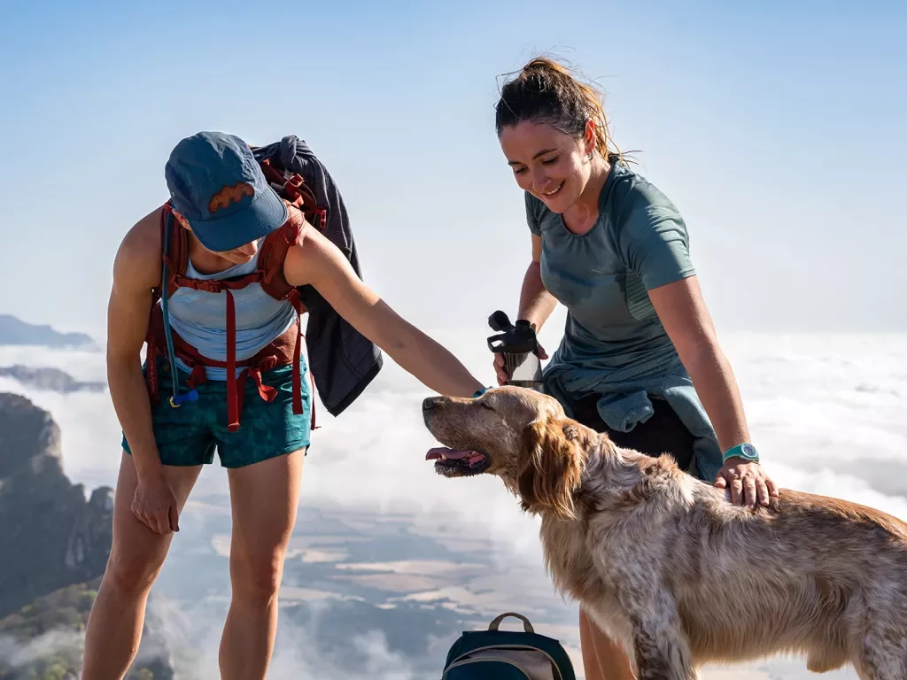 Guests Petting Dog Hike French Pyrenees to Basque Country