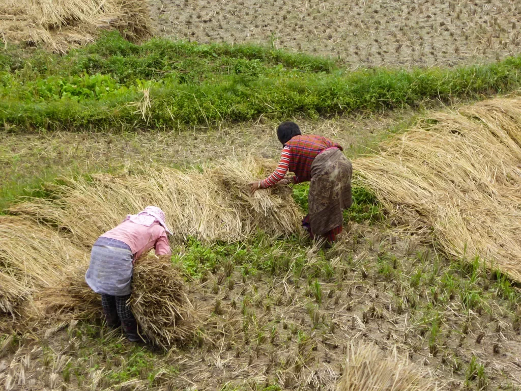 Locals farming in Bhutan