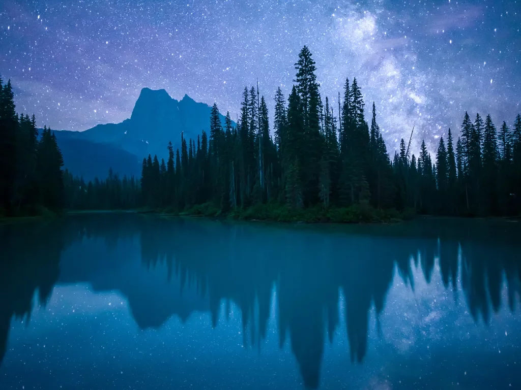 Lake, mountain, forest, vibrant nighttime vista.