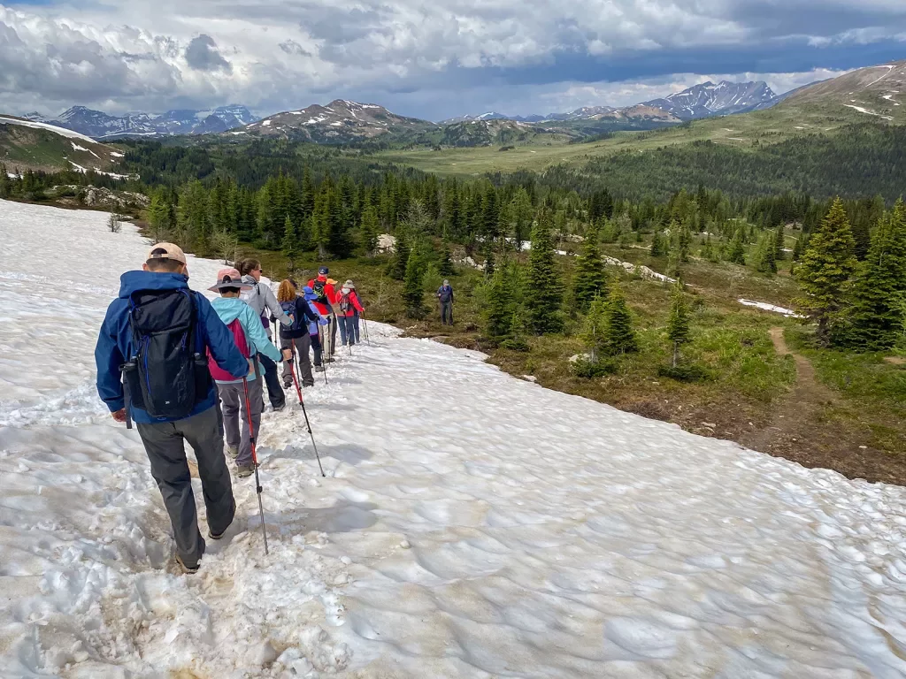 Group of guests walking down snowy path towards forest valley.