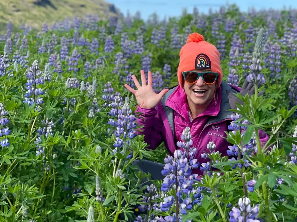 Hiker posing in wild lupine flowers in Iceland.