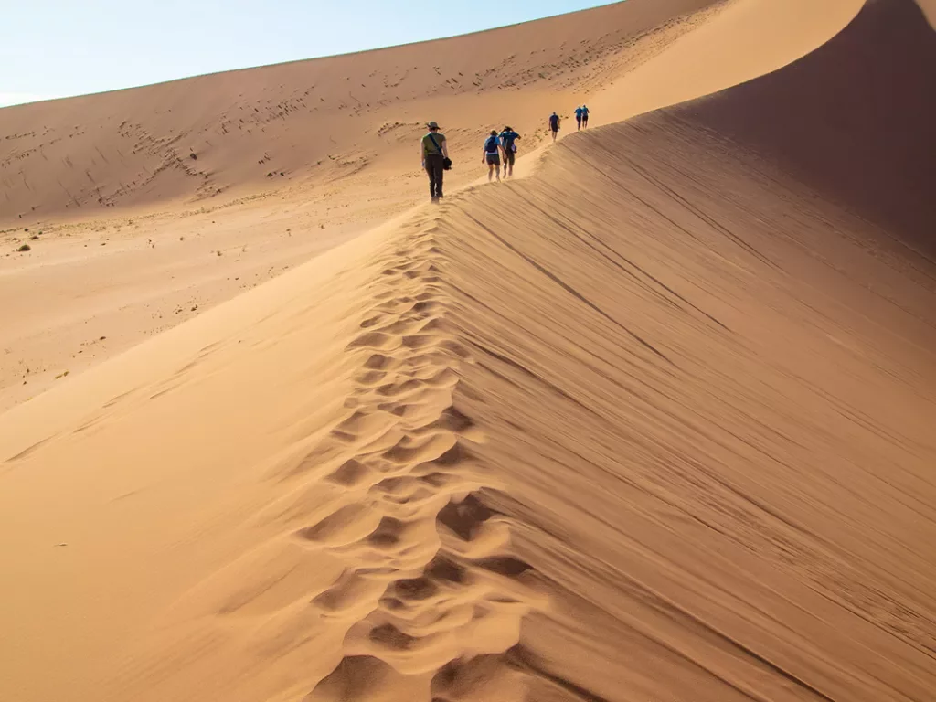 Sand dunes in Africa