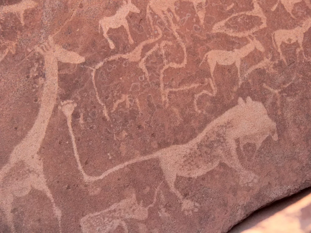 Cave drawings mostly of animals