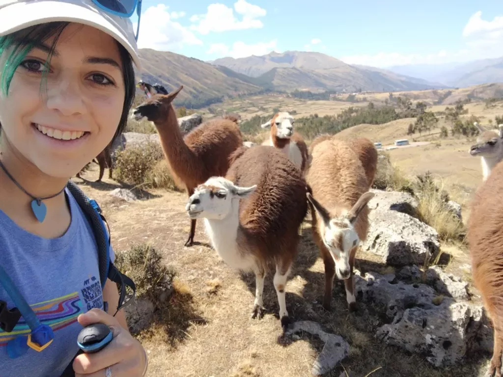 Young guest taking selfie with llamas.