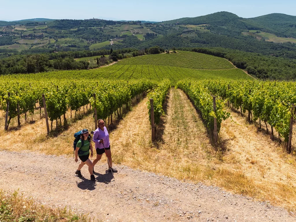 Two guests walking past vineyard, Italian hillside in background.