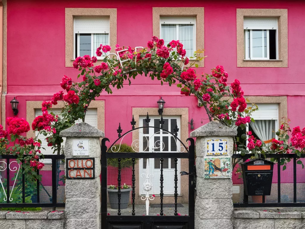 Housefront shot of bright pink building, flower arch, metal fence.