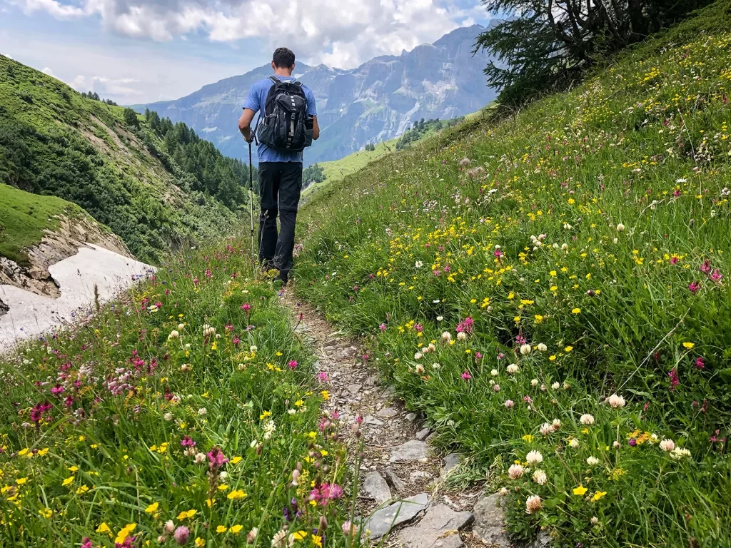 Hiker walking along trail in Alps.