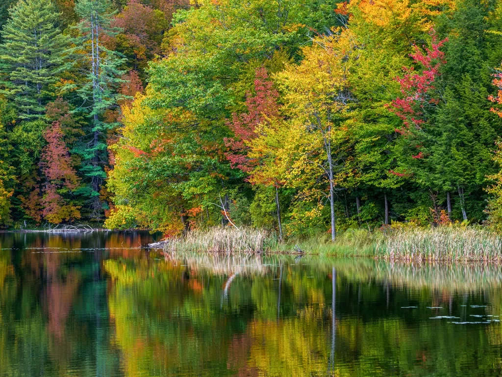 Shot of reflective lake, fall colored trees.