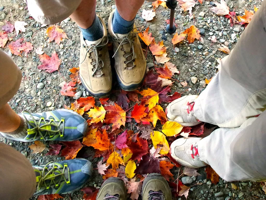 Point of view shot of four guest's feet/shoes, fall leaves.