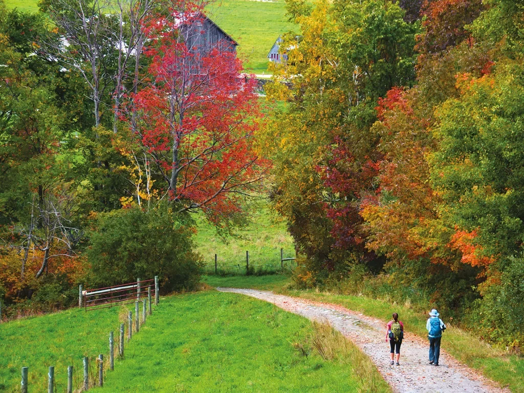 Two guests walking down autumnal road, towards wooden building.