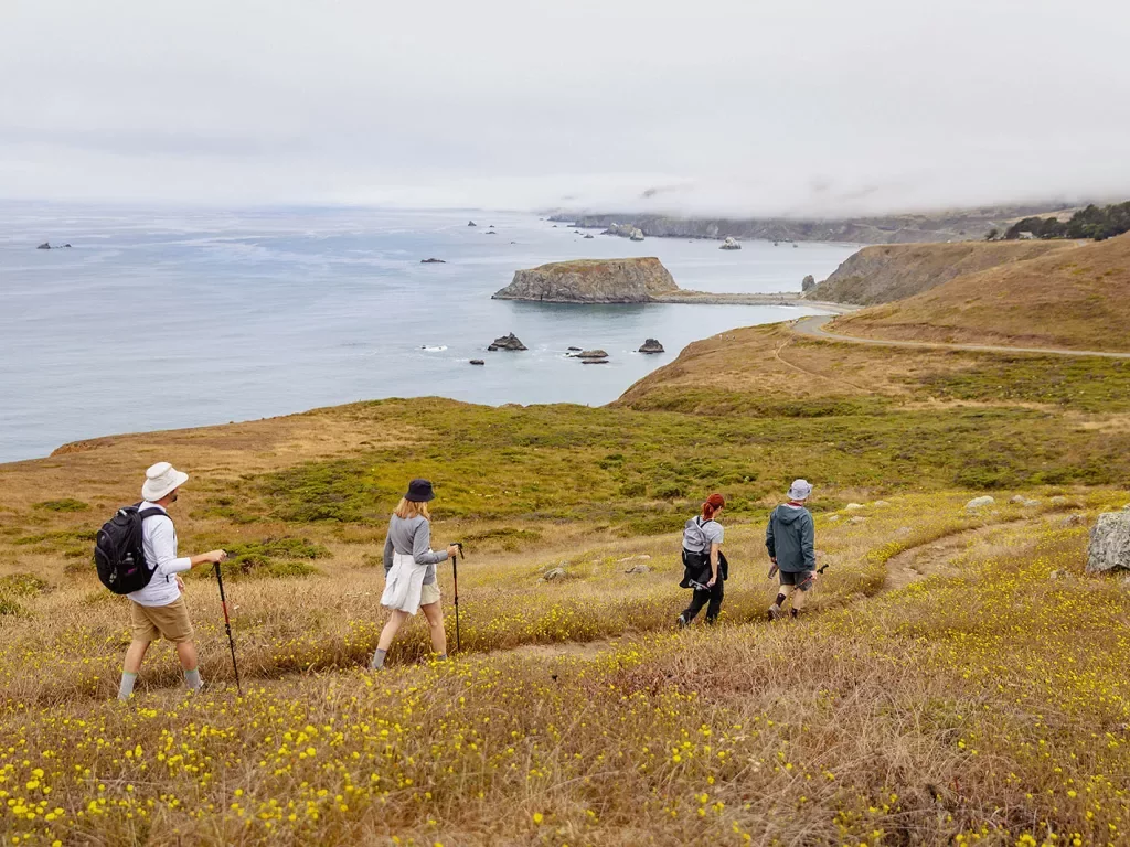 Four guests walking along golden coast, ocean to their left.