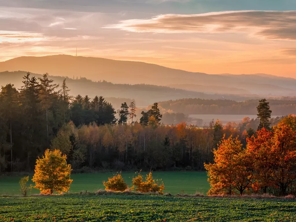 Nice sunset with hill Klet and trees, Czech republic