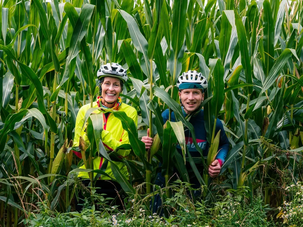 Two bikers in a field