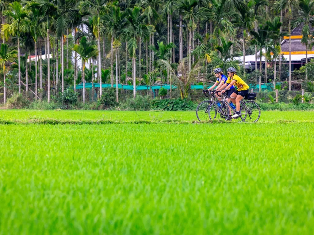 Bikers ride through a green field
