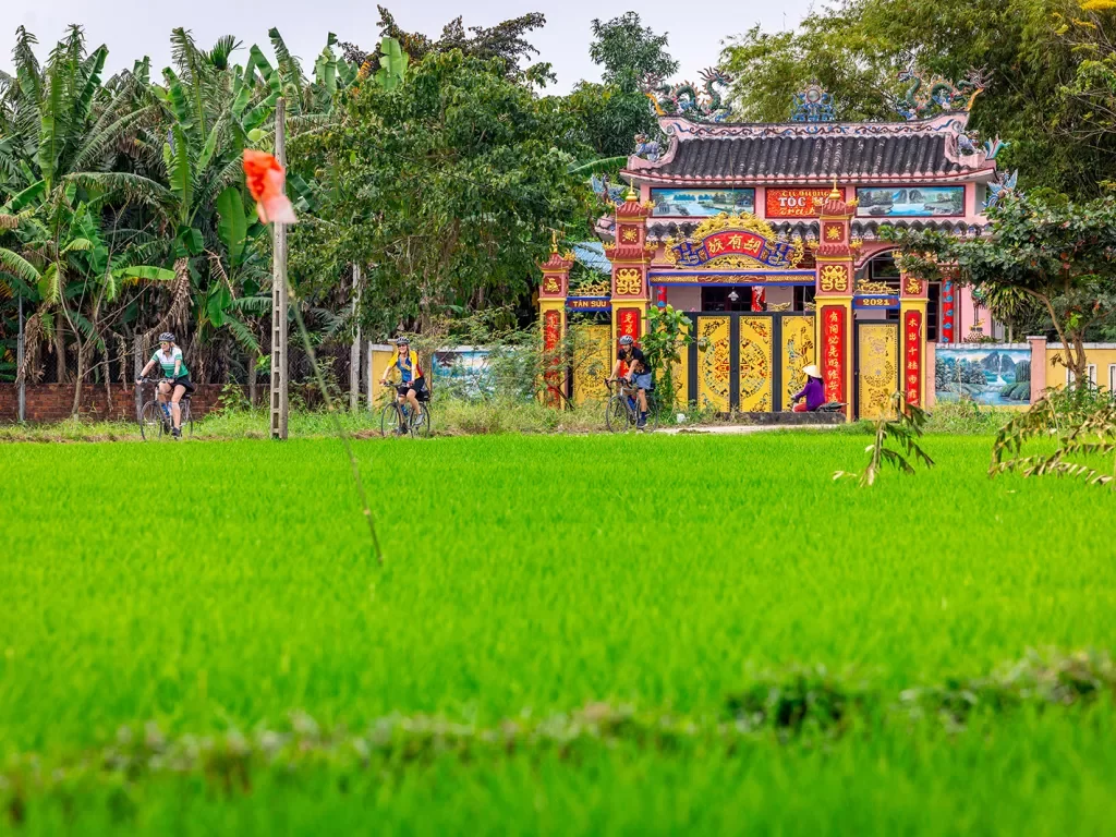 A green field with a colorful temple in the background