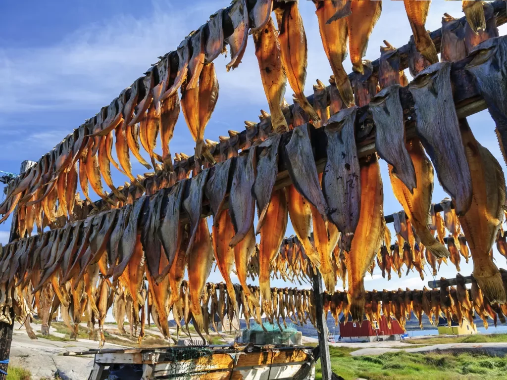Fish drying on large drying racks