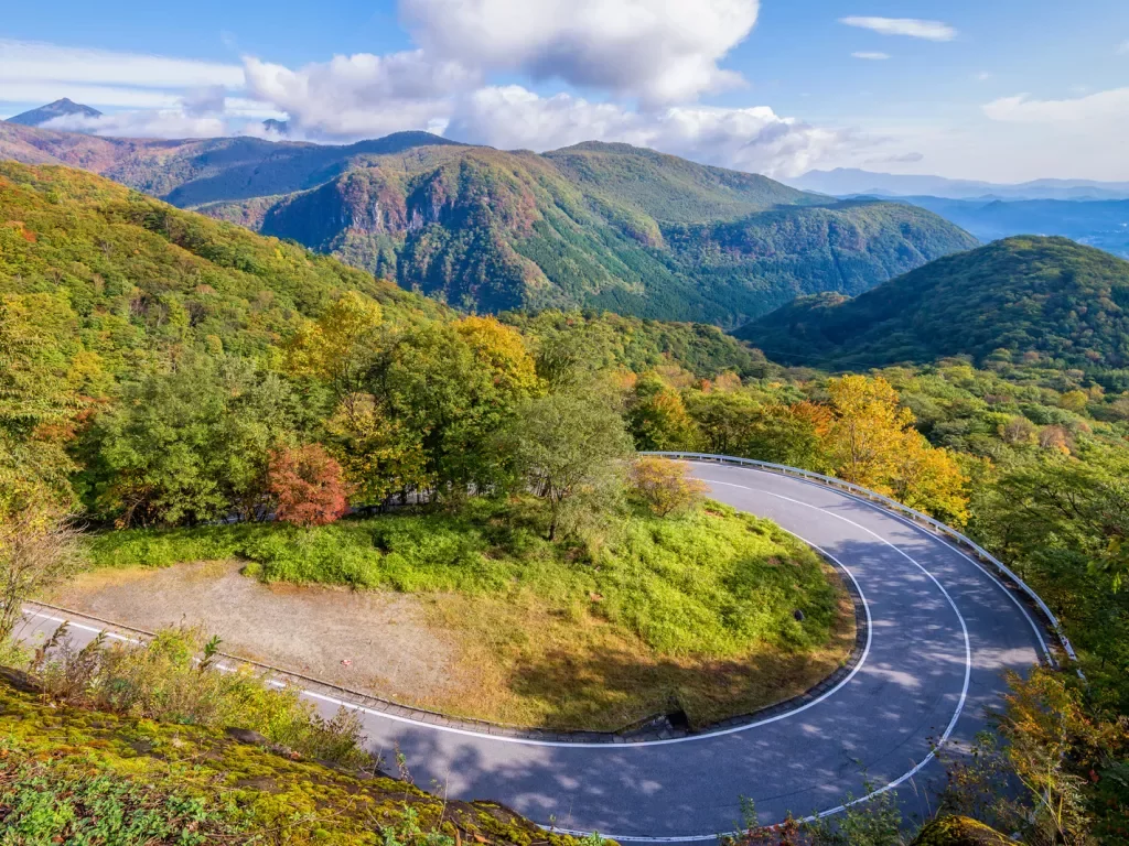 winding road through forested mountains