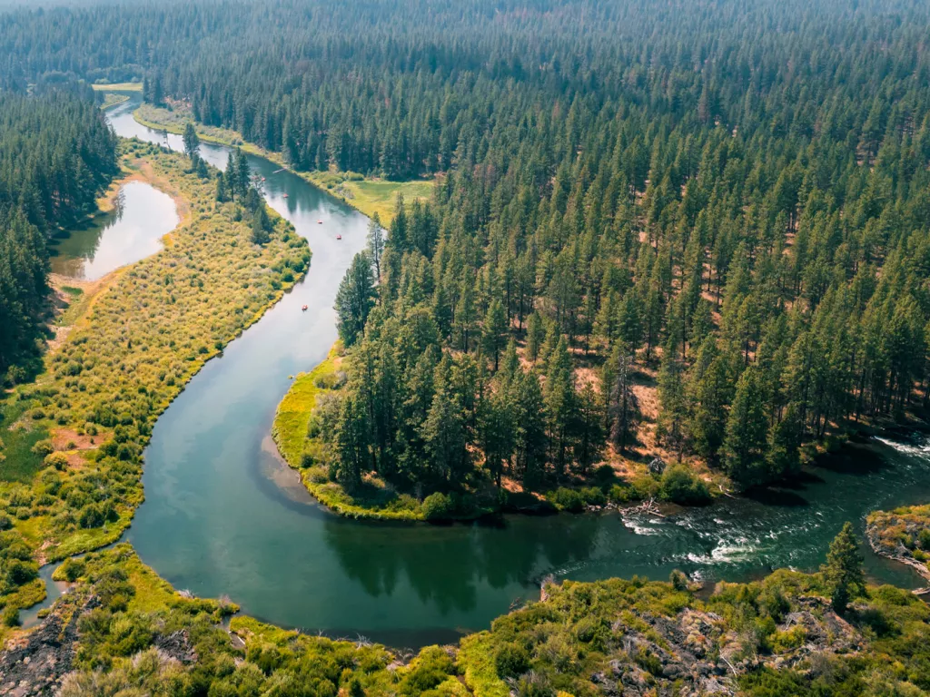 U-shaped river surrounded by pine trees and grass valleys