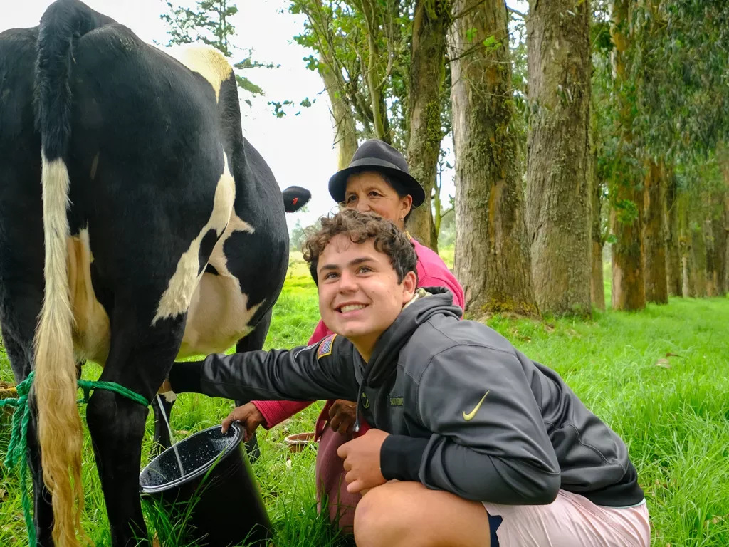 Two people milking a cow